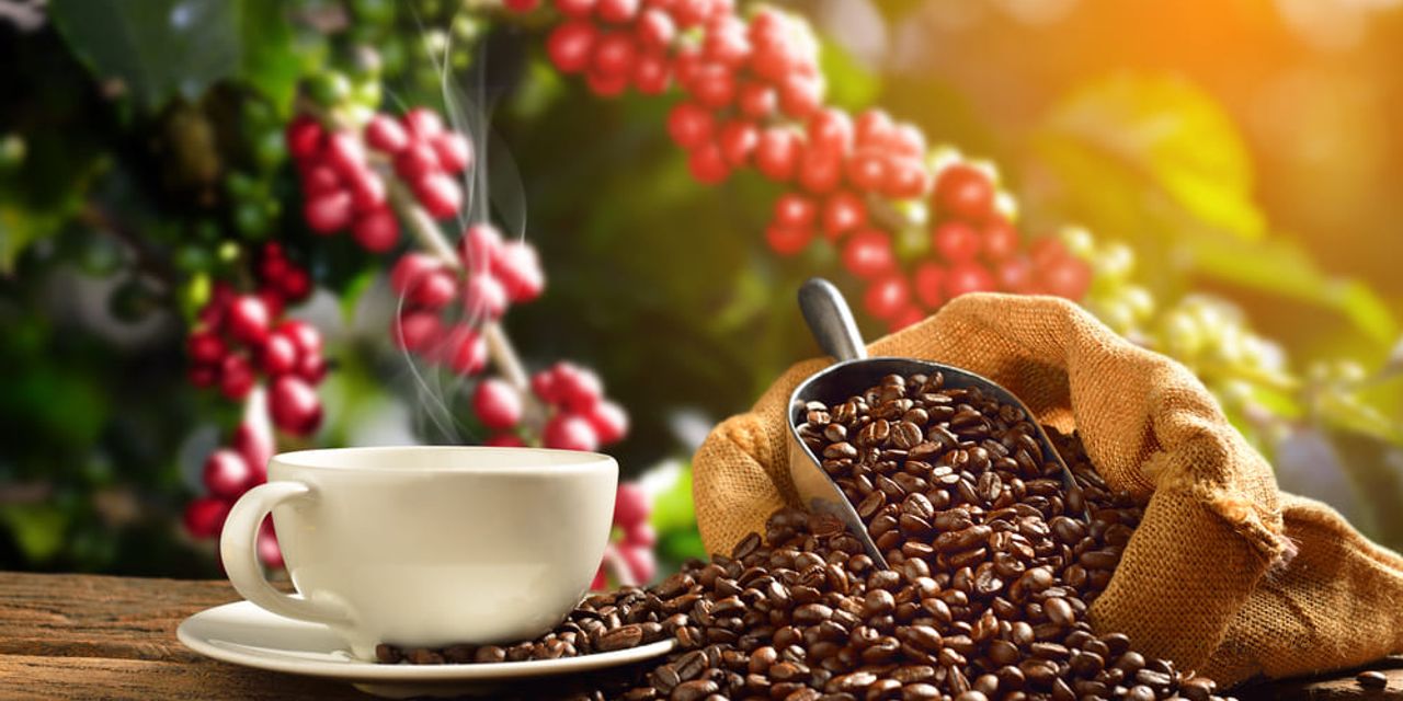 Prelucrare cafea
