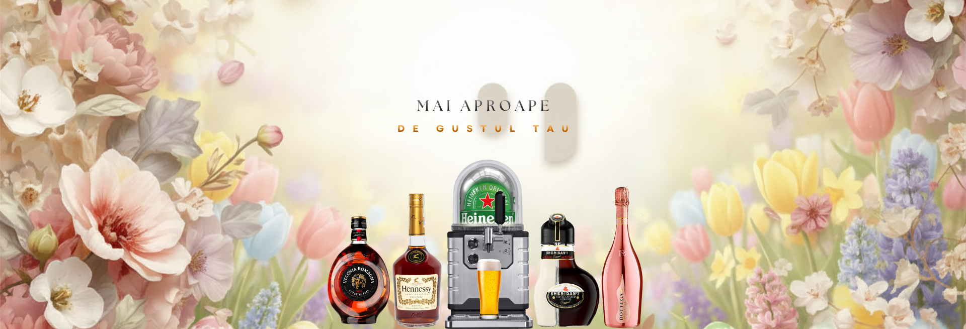 image-alt-69c18a9766680