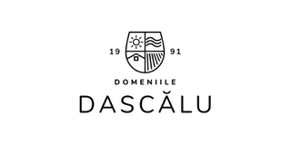 DOMENIILE DASCALU