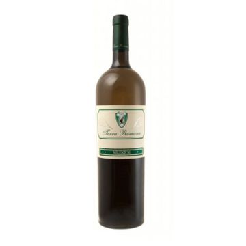 Serve Vin Alb Terra Romana Milenium Magnum 1.5L