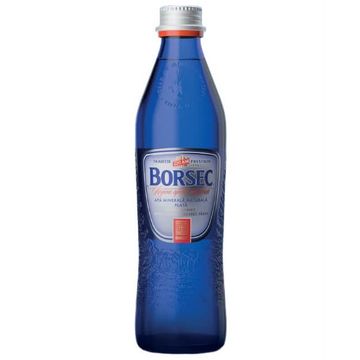 Borsec Apa Plata Sticla 12 Bucati X 0.33L