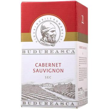 Budureasca Vin Rosu Cabernet Sauvignon BIB 2L 