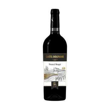 VINARTE CASTEL BOLOVANU VIN ROSU FETEASCA NEAGRA 0.75L