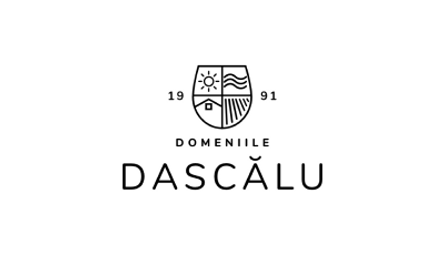 DOMENIILE DASCALU