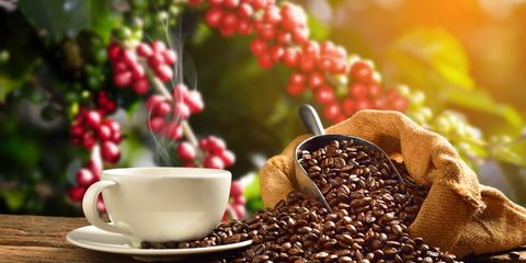 Prelucrare cafea