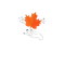 BLACK 5