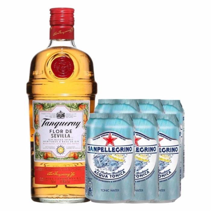 Pachet Gin Tonic Pachet Gin Tonic
